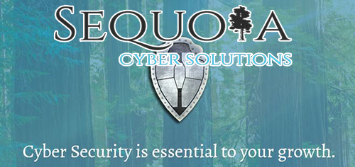 Cyber-security-solutions